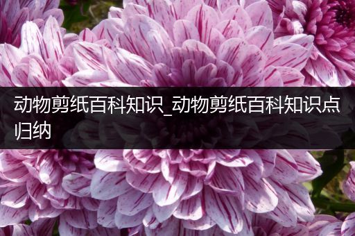 动物剪纸百科知识_动物剪纸百科知识点归纳