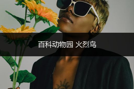 百科动物园 火烈鸟