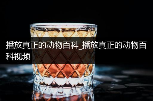 播放真正的动物百科_播放真正的动物百科视频