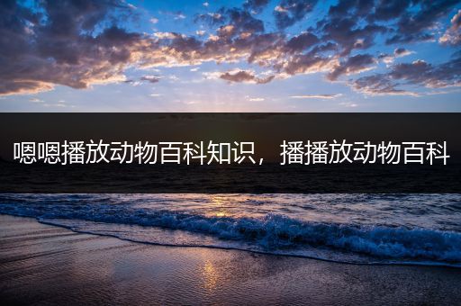 嗯嗯播放动物百科知识，播播放动物百科