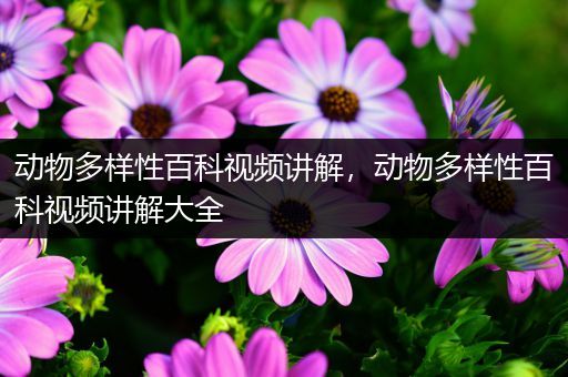 动物多样性百科视频讲解，动物多样性百科视频讲解大全
