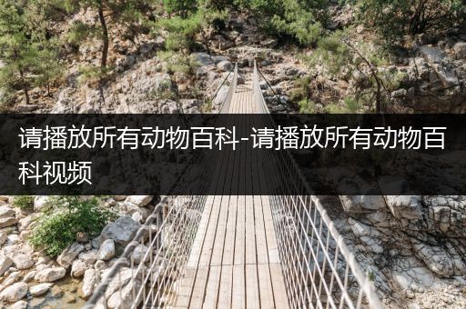 请播放所有动物百科-请播放所有动物百科视频
