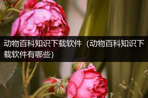 动物百科知识下载软件（动物百科知识下载软件有哪些）