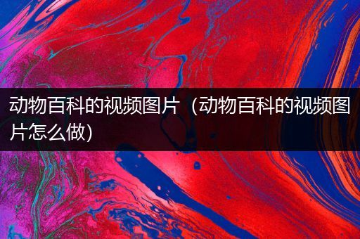 动物百科的视频图片（动物百科的视频图片怎么做）