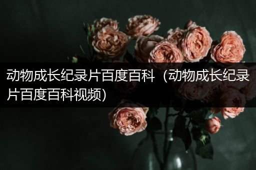 动物成长纪录片百度百科（动物成长纪录片百度百科视频）