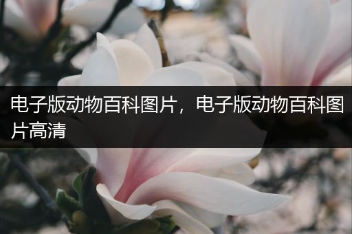 电子版动物百科图片，电子版动物百科图片高清
