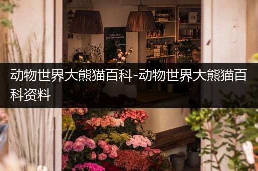 动物世界大熊猫百科-动物世界大熊猫百科资料