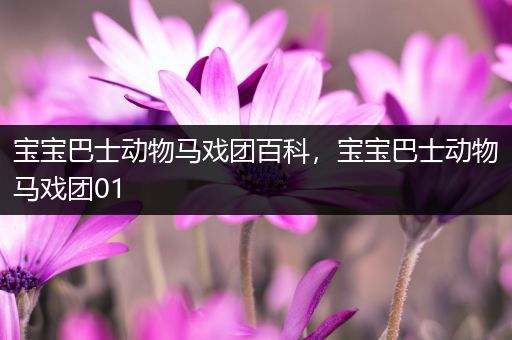 宝宝巴士动物马戏团百科，宝宝巴士动物马戏团01
