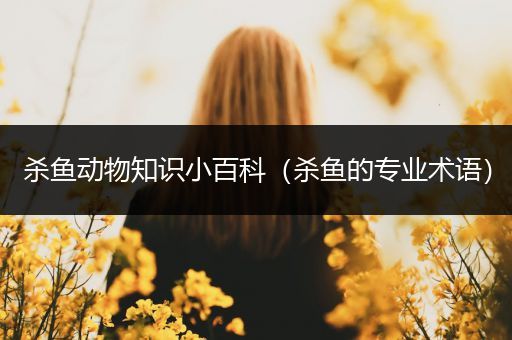 杀鱼动物知识小百科（杀鱼的专业术语）