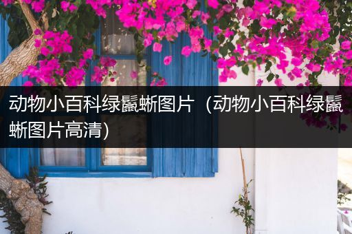 动物小百科绿鬣蜥图片（动物小百科绿鬣蜥图片高清）