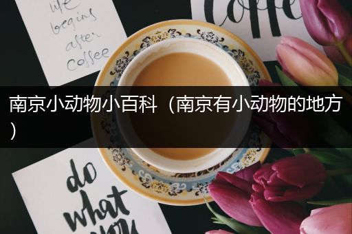 南京小动物小百科（南京有小动物的地方）