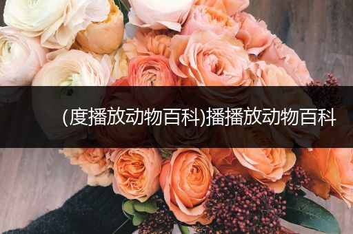 （度播放动物百科)播播放动物百科