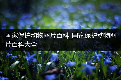 国家保护动物图片百科_国家保护动物图片百科大全