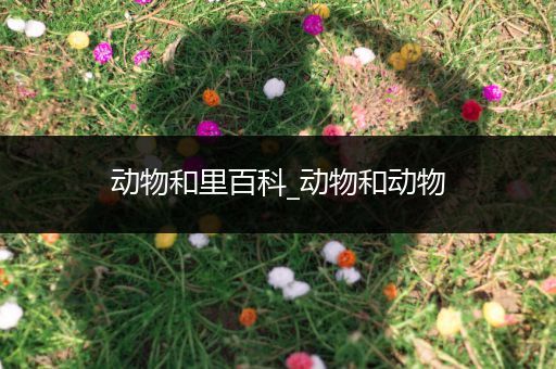 动物和里百科_动物和动物