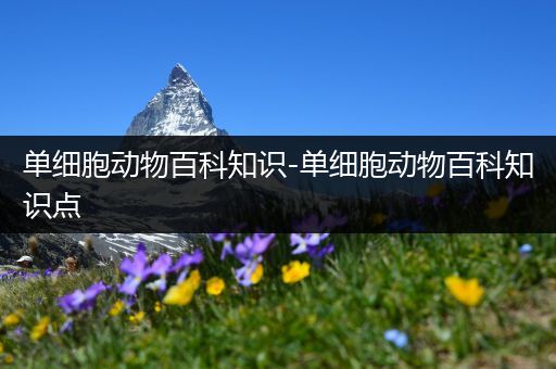 单细胞动物百科知识-单细胞动物百科知识点