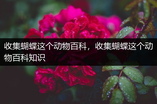 收集蝴蝶这个动物百科，收集蝴蝶这个动物百科知识