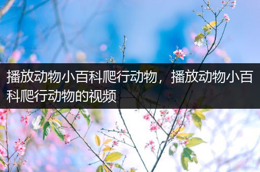 播放动物小百科爬行动物，播放动物小百科爬行动物的视频