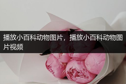 播放小百科动物图片，播放小百科动物图片视频