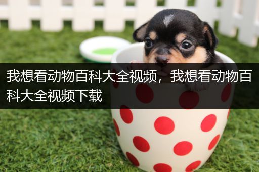 我想看动物百科大全视频，我想看动物百科大全视频下载