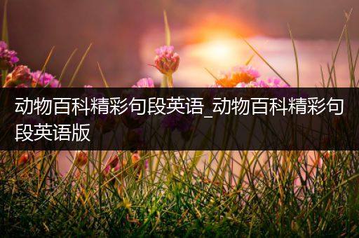 动物百科精彩句段英语_动物百科精彩句段英语版