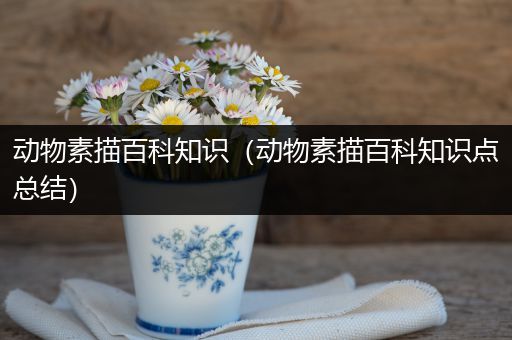 动物素描百科知识（动物素描百科知识点总结）