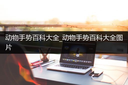 动物手势百科大全_动物手势百科大全图片