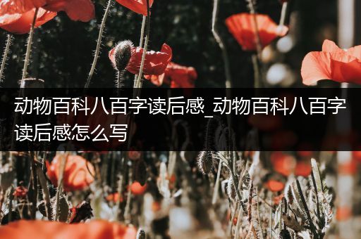 动物百科八百字读后感_动物百科八百字读后感怎么写