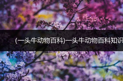 （一头牛动物百科)一头牛动物百科知识
