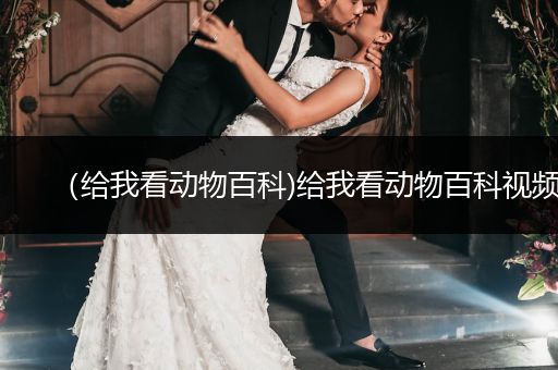 （给我看动物百科)给我看动物百科视频