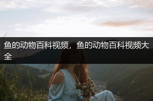 鱼的动物百科视频，鱼的动物百科视频大全