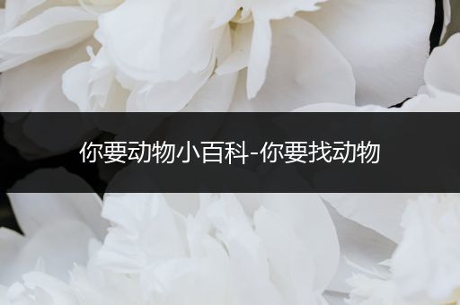 你要动物小百科-你要找动物
