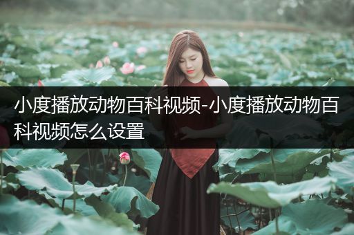 小度播放动物百科视频-小度播放动物百科视频怎么设置