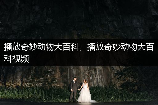 播放奇妙动物大百科，播放奇妙动物大百科视频