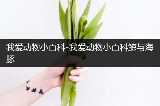 我爱动物小百科-我爱动物小百科鲸与海豚