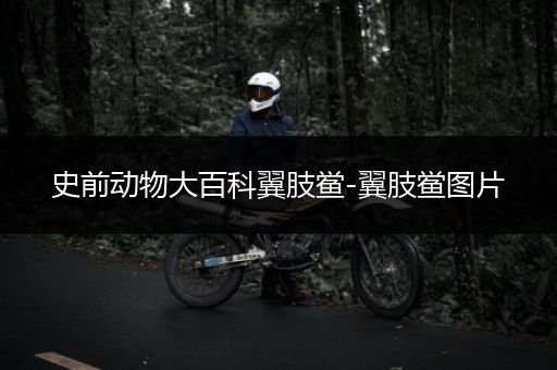 史前动物大百科翼肢鲎-翼肢鲎图片