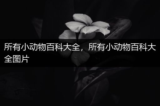 所有小动物百科大全，所有小动物百科大全图片