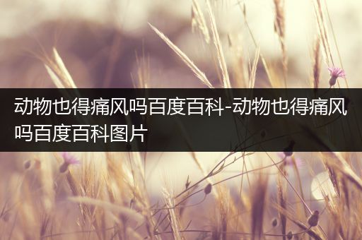 动物也得痛风吗百度百科-动物也得痛风吗百度百科图片