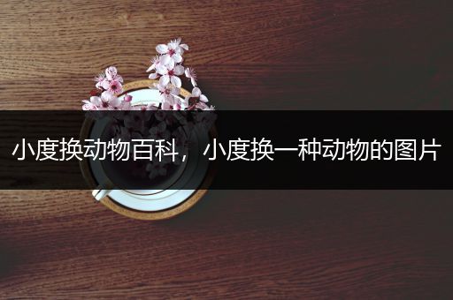 小度换动物百科，小度换一种动物的图片