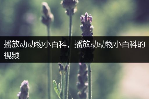 播放动动物小百科，播放动动物小百科的视频