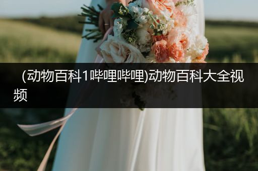 （动物百科1哔哩哔哩)动物百科大全视频