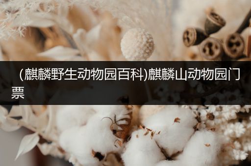 （麒麟野生动物园百科)麒麟山动物园门票