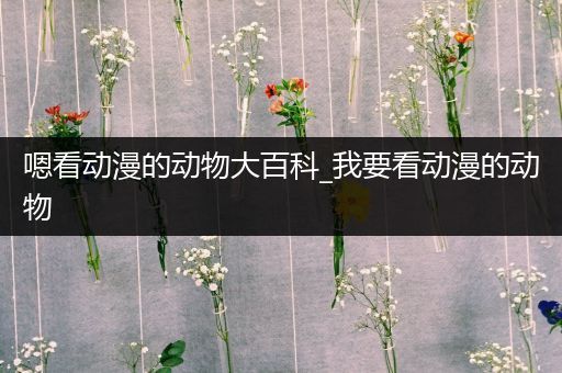 嗯看动漫的动物大百科_我要看动漫的动物