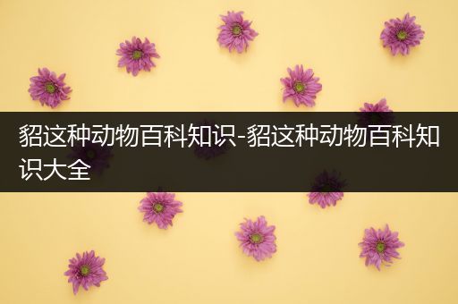 貂这种动物百科知识-貂这种动物百科知识大全