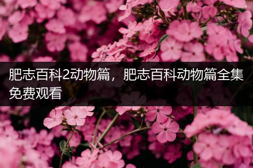 肥志百科2动物篇，肥志百科动物篇全集免费观看