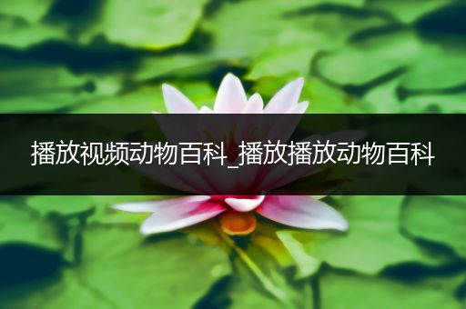 播放视频动物百科_播放播放动物百科