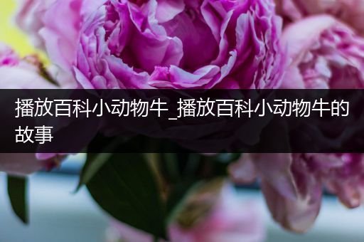 播放百科小动物牛_播放百科小动物牛的故事