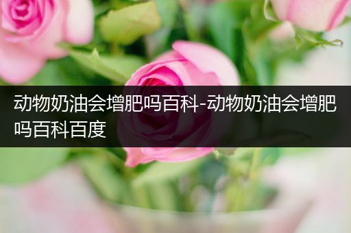动物奶油会增肥吗百科-动物奶油会增肥吗百科百度