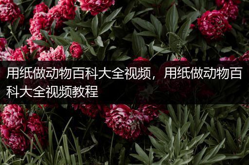 用纸做动物百科大全视频，用纸做动物百科大全视频教程