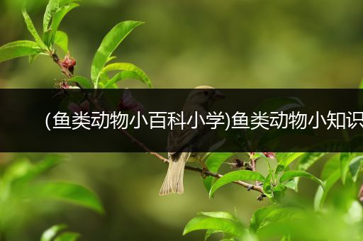 （鱼类动物小百科小学)鱼类动物小知识