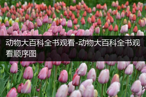动物大百科全书观看-动物大百科全书观看顺序图